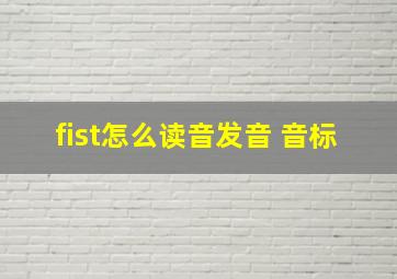 fist怎么读音发音 音标